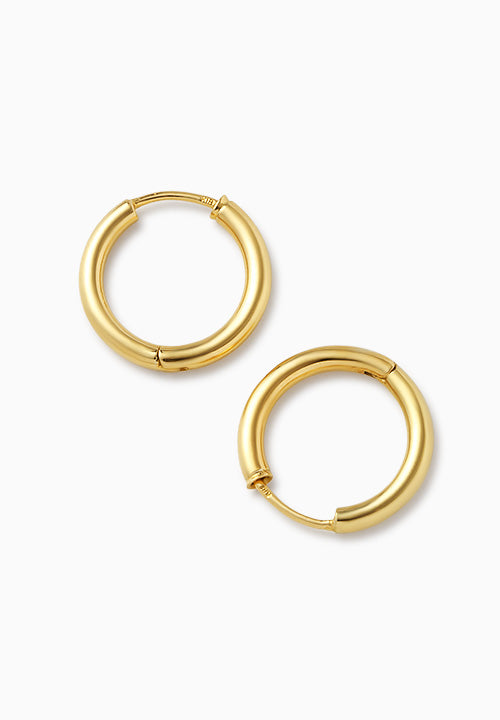 Lion | Lion | Pierced Earlings | K18YG | φ2.0mm x 14mm