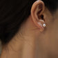 MARIA