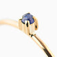 WIRE with Sapphire