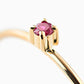 WIRE with Ruby