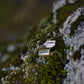 HEARING AID MINERAL