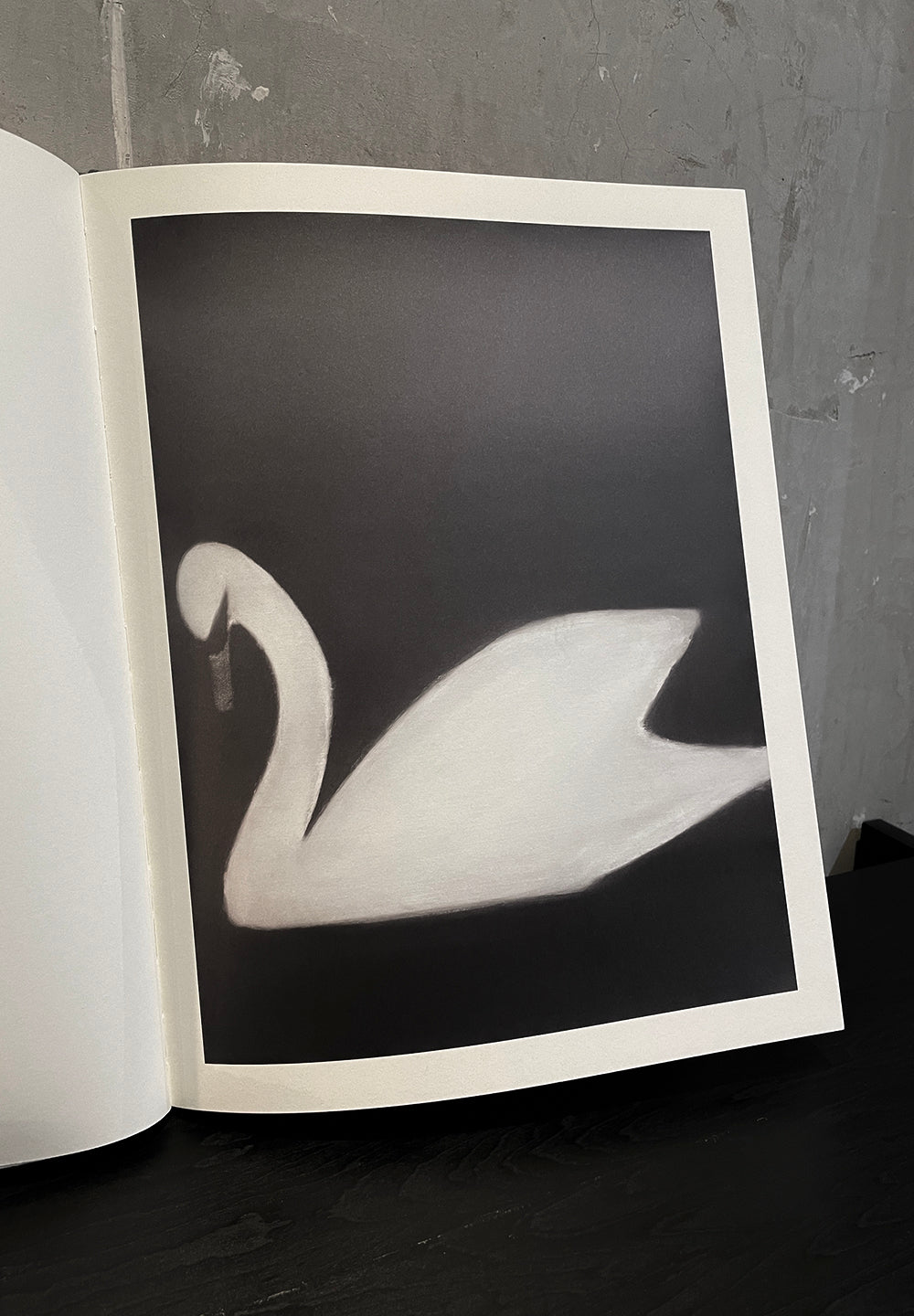 Swan | MATS GUSTAFSON
